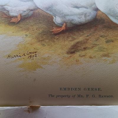 LOT 133: The Poultry Book 1904 Volumes I and II