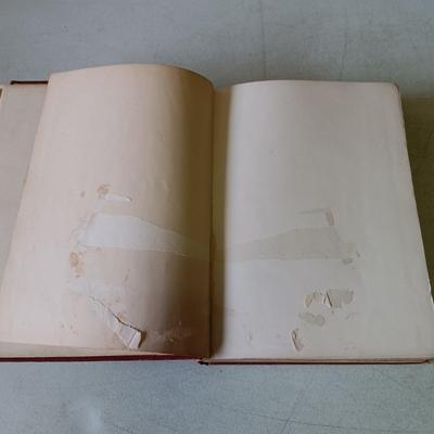 LOT 133: The Poultry Book 1904 Volumes I and II