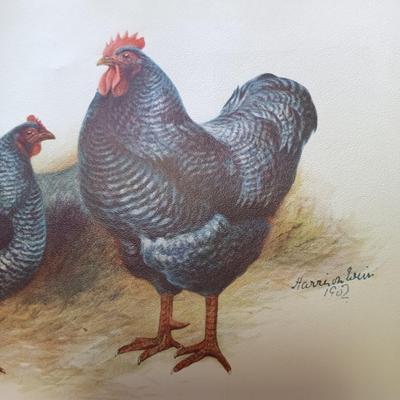 LOT 133: The Poultry Book 1904 Volumes I and II