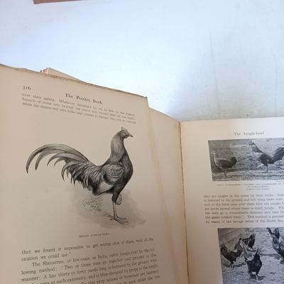 LOT 133: The Poultry Book 1904 Volumes I and II