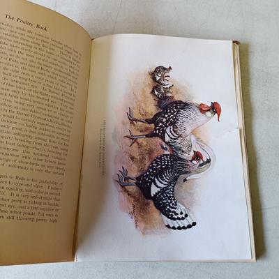 LOT 133: The Poultry Book 1904 Volumes I and II