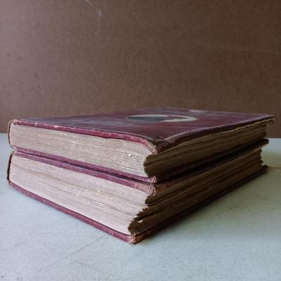 LOT 133: The Poultry Book 1904 Volumes I and II