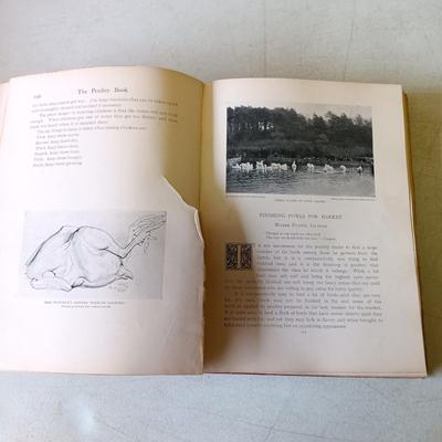 LOT 133: The Poultry Book 1904 Volumes I and II