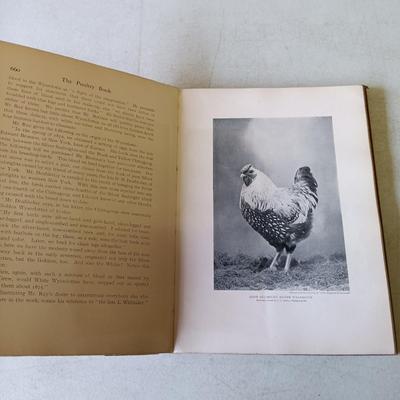 LOT 133: The Poultry Book 1904 Volumes I and II
