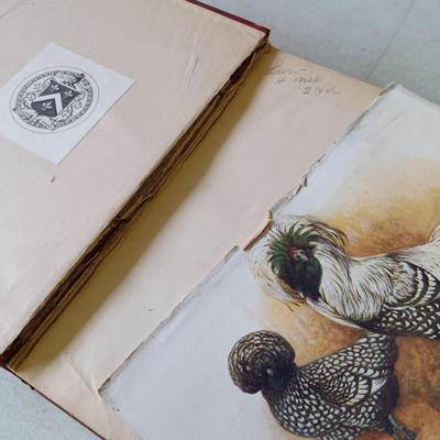 LOT 133: The Poultry Book 1904 Volumes I and II