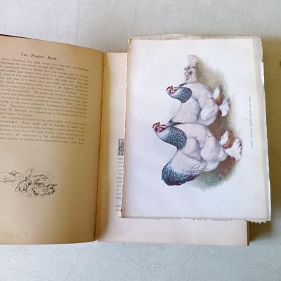 LOT 133: The Poultry Book 1904 Volumes I and II
