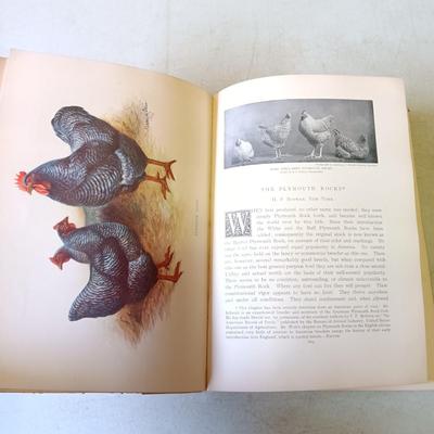 LOT 133: The Poultry Book 1904 Volumes I and II