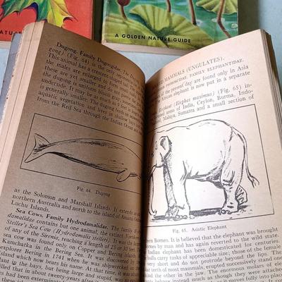 LOT 136: Golden Nature Guides, Webster's New World Dictionary 1963 & More