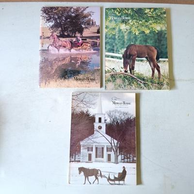 LOT 136: Golden Nature Guides, Webster's New World Dictionary 1963 & More