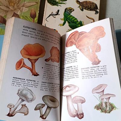 LOT 136: Golden Nature Guides, Webster's New World Dictionary 1963 & More