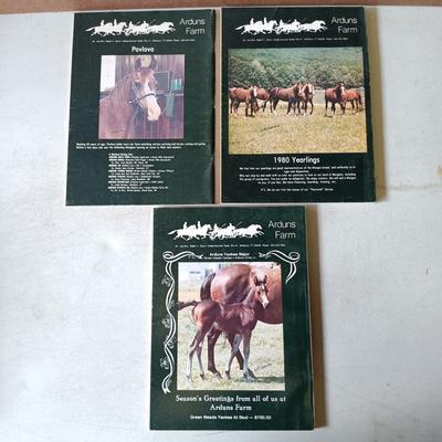 LOT 136: Golden Nature Guides, Webster's New World Dictionary 1963 & More