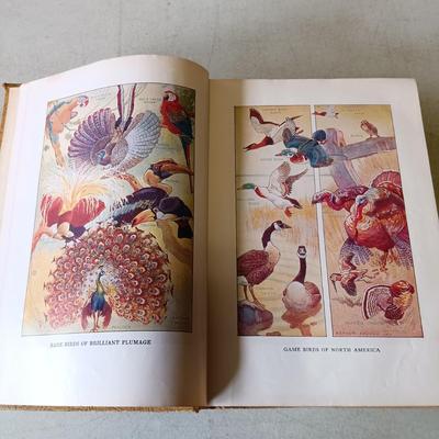 LOT 136: Golden Nature Guides, Webster's New World Dictionary 1963 & More