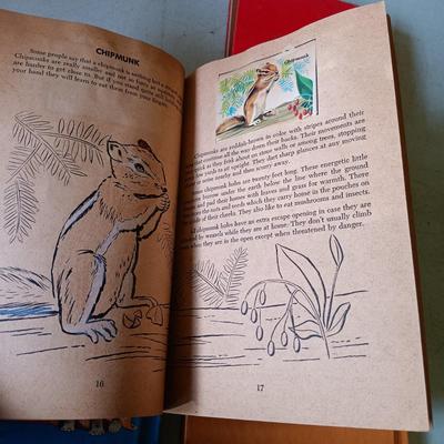 LOT 139: Vintage Children's Books and Novels