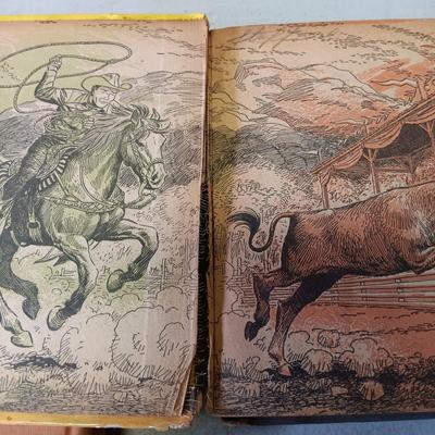 LOT 139: Vintage Children's Books and Novels
