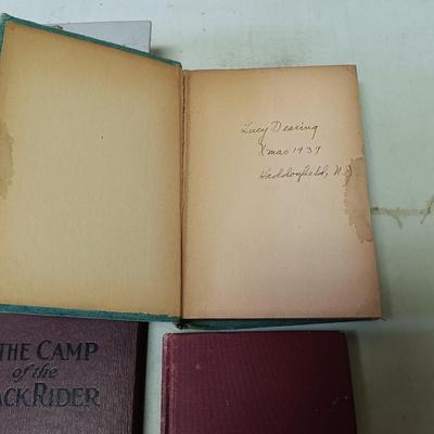 LOT 153: Collection of Vintage Novels