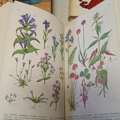 LOT 172: Vintage Gardening and Crafting Books