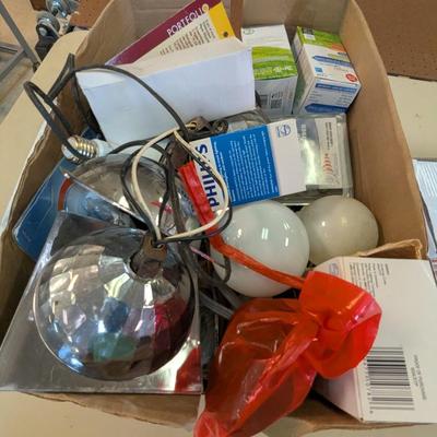 Assortment Light Bulbs & Extension Cords