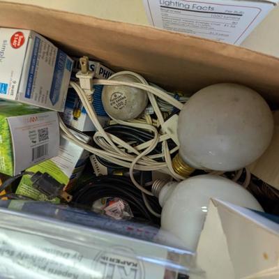 Assortment Light Bulbs & Extension Cords