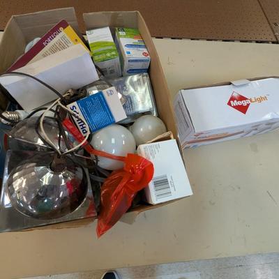 Assortment Light Bulbs & Extension Cords