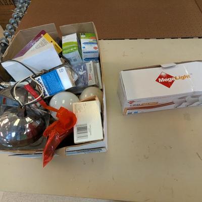 Assortment Light Bulbs & Extension Cords