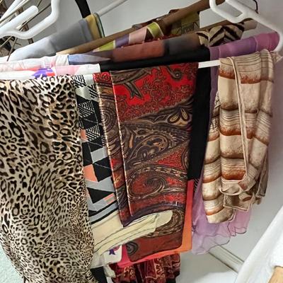 Scarves and Accessories (HC-BC)