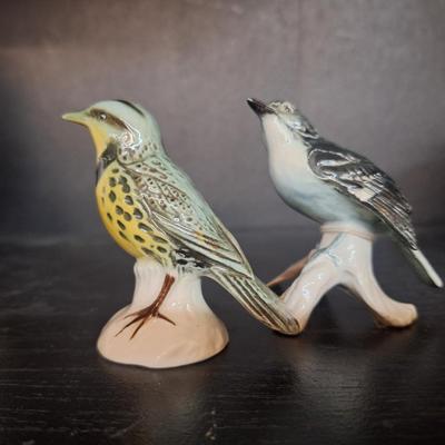 Sale Photo Thumbnail #809: 2 birds 