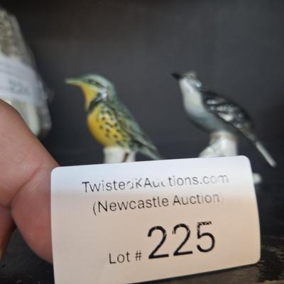 Sale Photo Thumbnail #808: 2 birds 