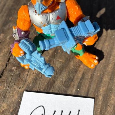 Teenage Mutant Ninja Turtle