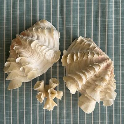 Sale Photo Thumbnail #72: Pricing decided by the Auctioneer during theAuction on Facebook Live