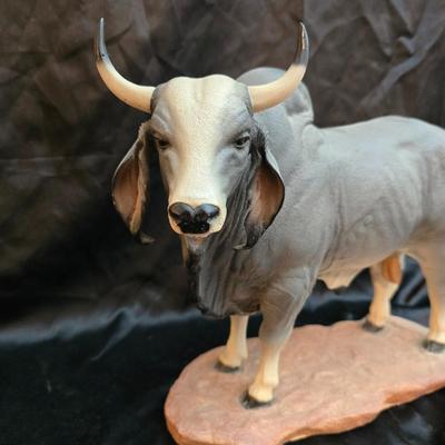 Brahman bull.