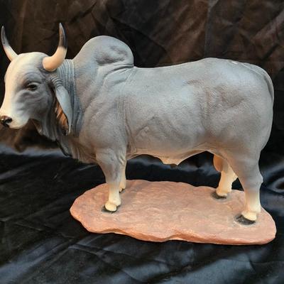Brahman bull.