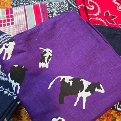 Men's socks - New and like new with a collection of Handkerchiefs