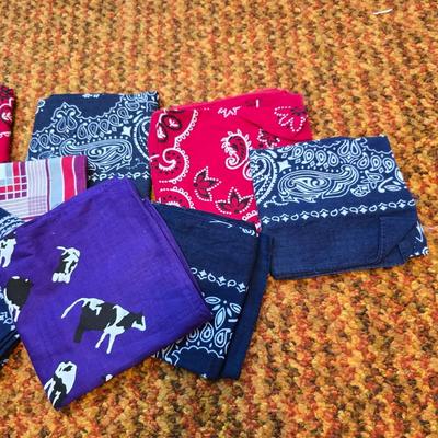 Men's socks - New and like new with a collection of Handkerchiefs