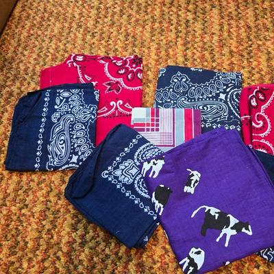 Men's socks - New and like new with a collection of Handkerchiefs