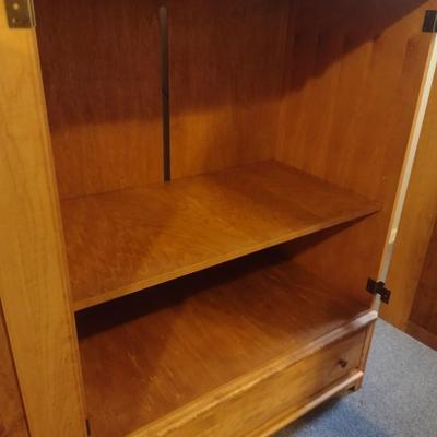 Wood Finish Double Door Media Cabinet