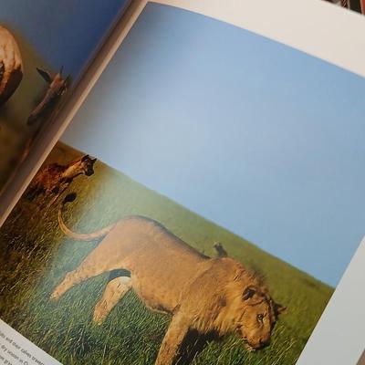 Remainer of books - Te Great Divide table book, Africa's animal Kingdom, Story books and more hardback & softback