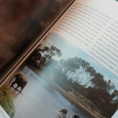 Remainer of books - Te Great Divide table book, Africa's animal Kingdom, Story books and more hardback & softback