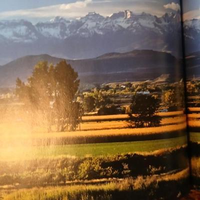 Remainer of books - Te Great Divide table book, Africa's animal Kingdom, Story books and more hardback & softback