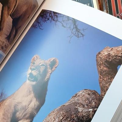 Remainer of books - Te Great Divide table book, Africa's animal Kingdom, Story books and more hardback & softback