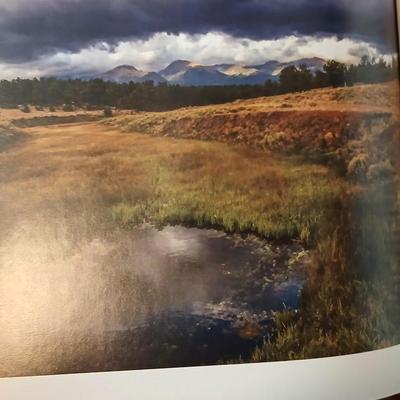 Remainer of books - Te Great Divide table book, Africa's animal Kingdom, Story books and more hardback & softback