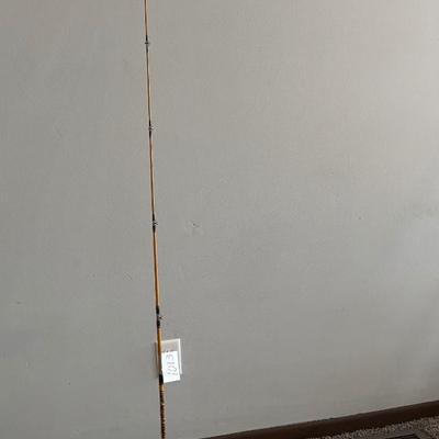 Fenwick Yellow Jacket Rod