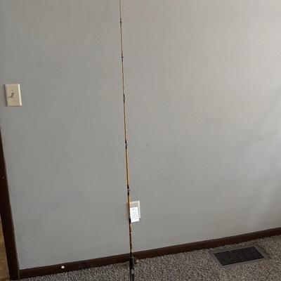 Fenwick Yellow Jacket Rod