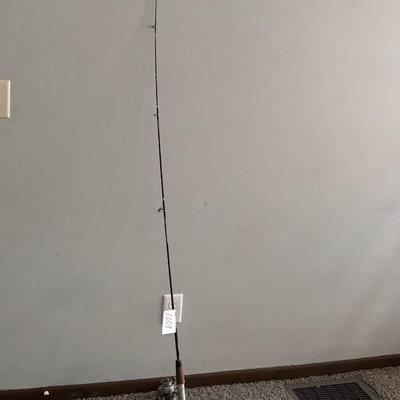 Zebco Rod and Shakespeare Reel