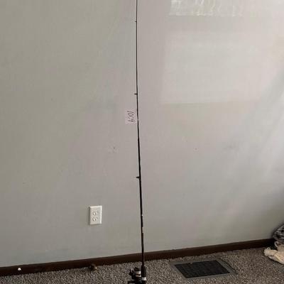 Diawa Reel and Max Rod