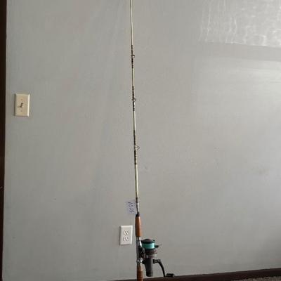 Fishing Rod and Reel