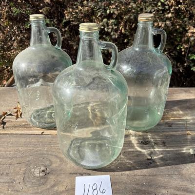Gallon Jugs