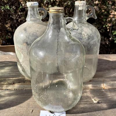 Gallon Jug Lot
