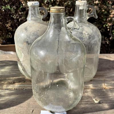 Gallon Jug Lot