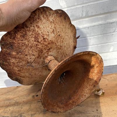 Vintage Cast Iron Bird Bath