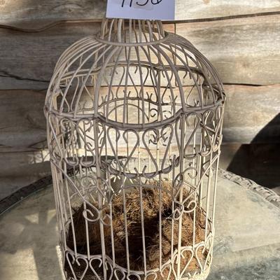 Bird Cage